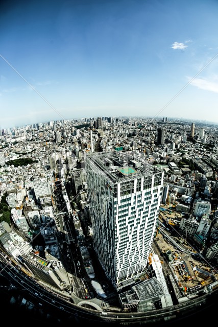 写真のタイトルが入ります