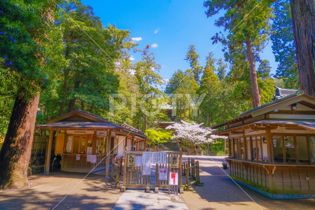 写真のタイトルが入ります