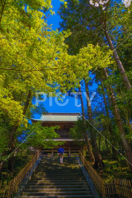 写真のタイトルが入ります