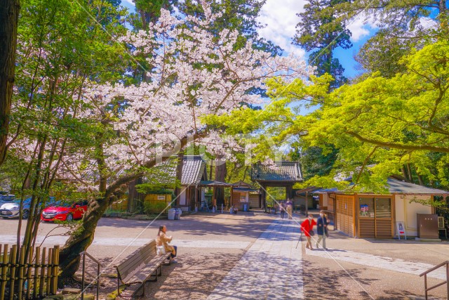 写真のタイトルが入ります