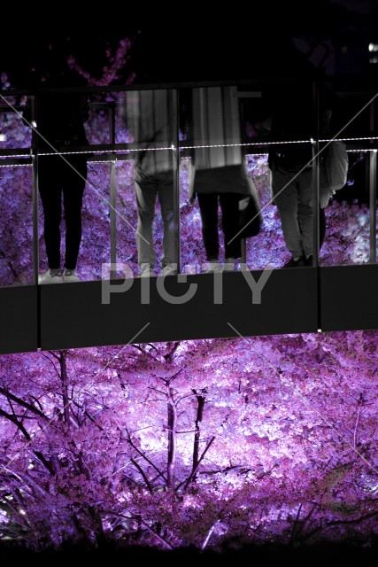 写真のタイトルが入ります