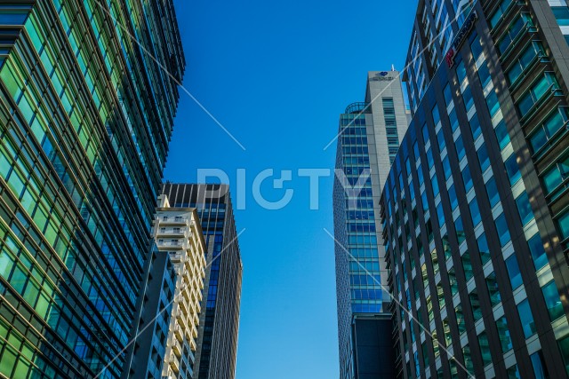 写真のタイトルが入ります