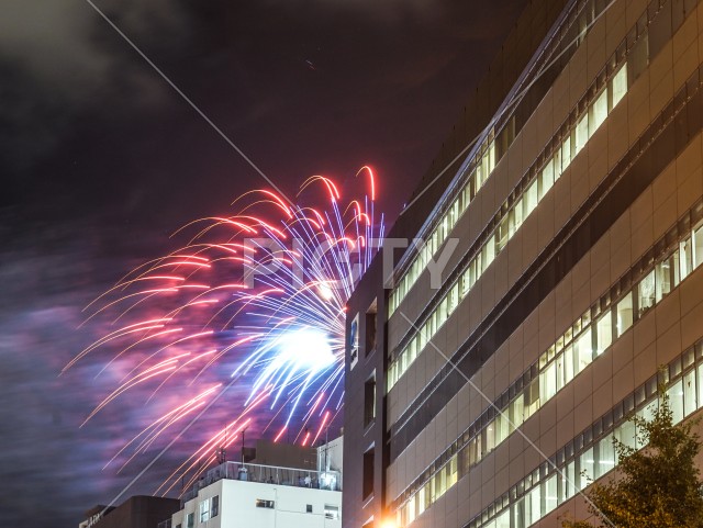 写真のタイトルが入ります