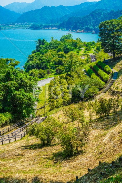 宮ヶ瀬ダムと鳥居原湖畔庭園（神奈川県）
