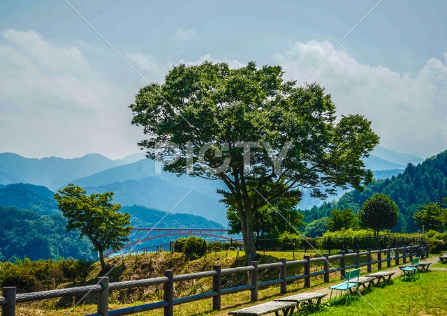 写真のタイトルが入ります