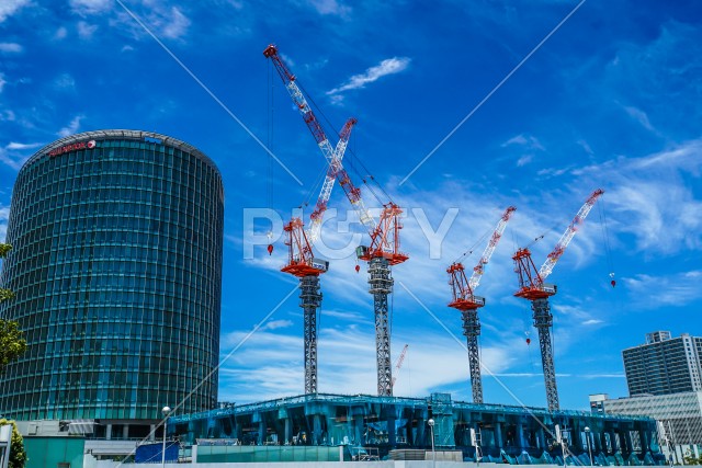写真のタイトルが入ります