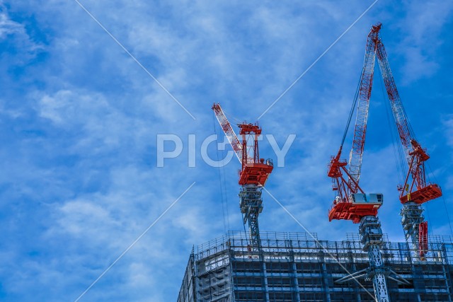 写真のタイトルが入ります