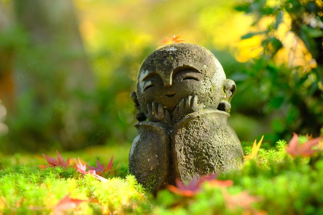 写真のタイトルが入ります