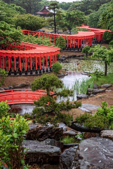 写真のタイトルが入ります