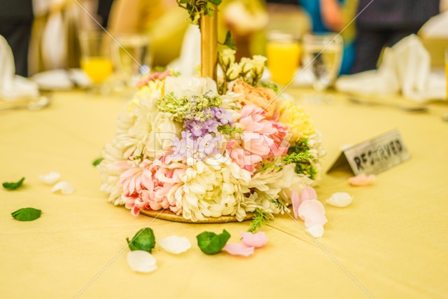 写真のタイトルが入ります