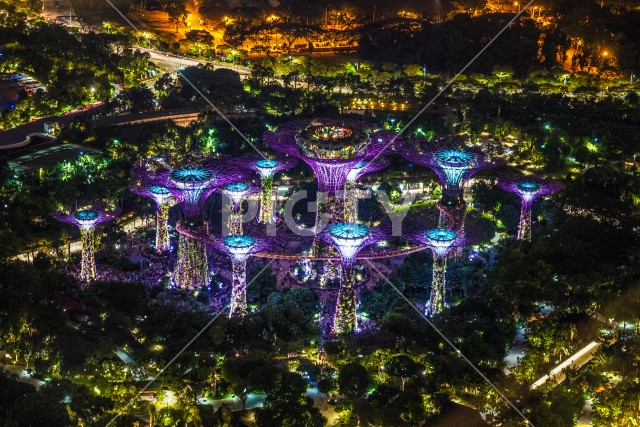 マリーナ・ベイ・サンズ展望台からの夜景（シンガポール）