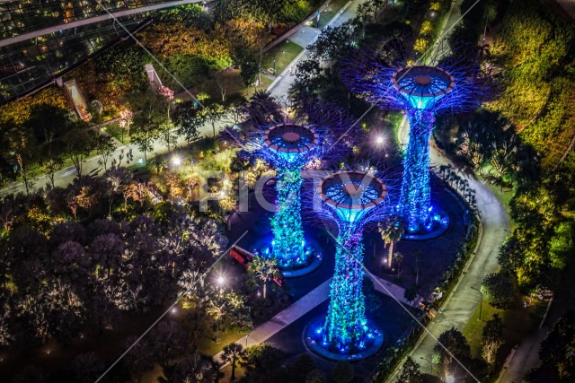マリーナ・ベイ・サンズ展望台からの夜景（シンガポール）