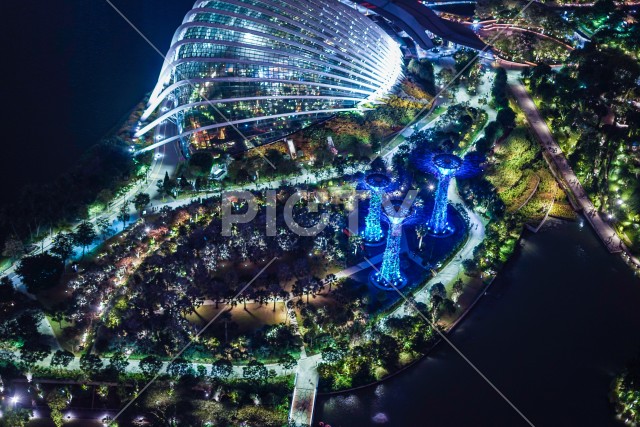 マリーナ・ベイ・サンズ展望台からの夜景（シンガポール）