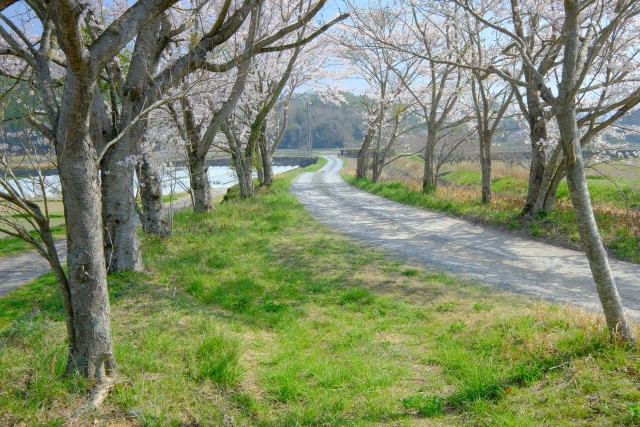 写真のタイトルが入ります