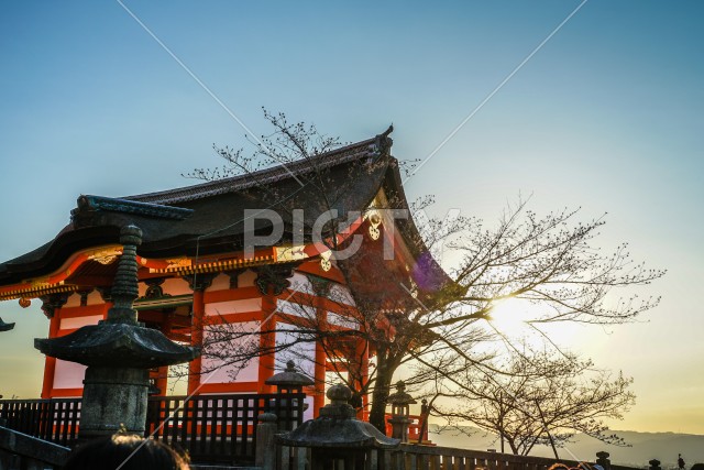 夕暮れの光が差し込む神社