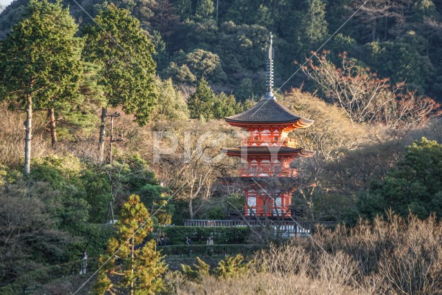 写真のタイトルが入ります