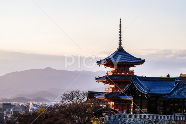 写真のタイトルが入ります