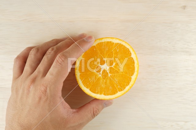 写真のタイトルが入ります