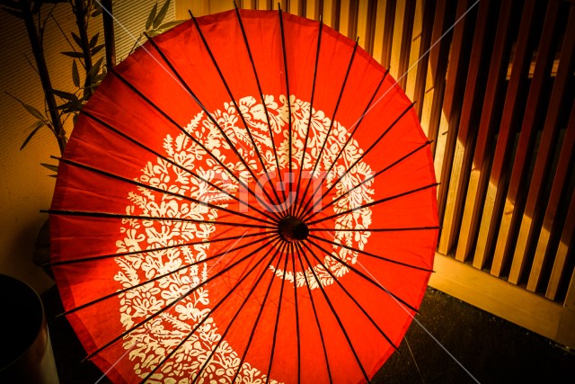 写真のタイトルが入ります