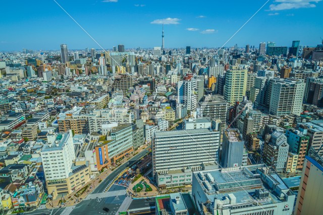 文京シビックセンター展望ラウンジから見える東京の街並み