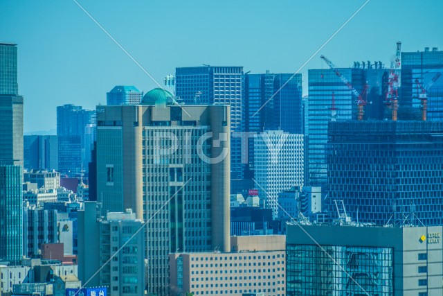 写真のタイトルが入ります