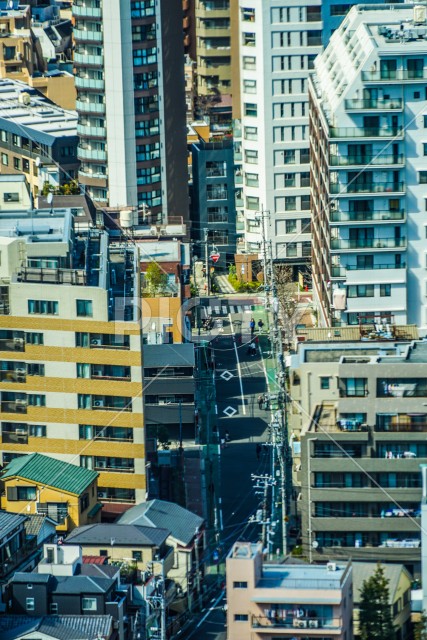 文京シビックセンター展望ラウンジから見える東京の街並み
