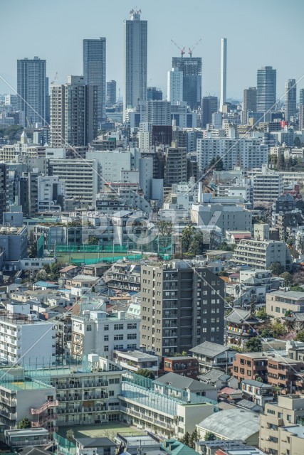 文京シビックセンター展望ラウンジから見える東京の街並み