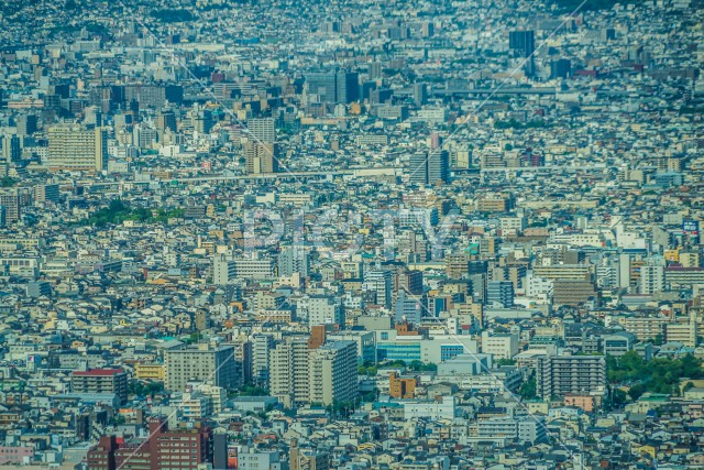 あべのハルカスからの大阪の街並み
