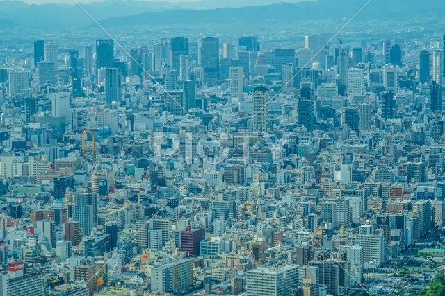 あべのハルカスからの大阪の街並み