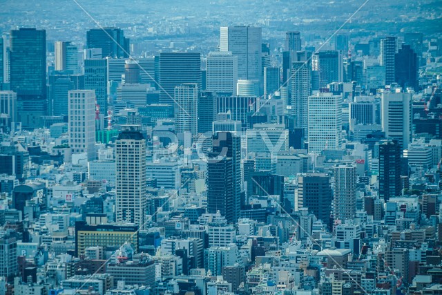 あべのハルカスからの大阪の街並み