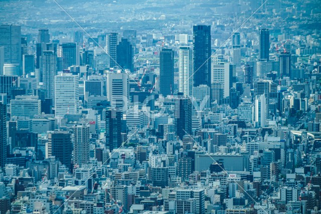 あべのハルカスからの大阪の街並み