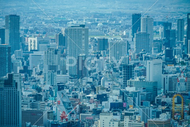 写真のタイトルが入ります