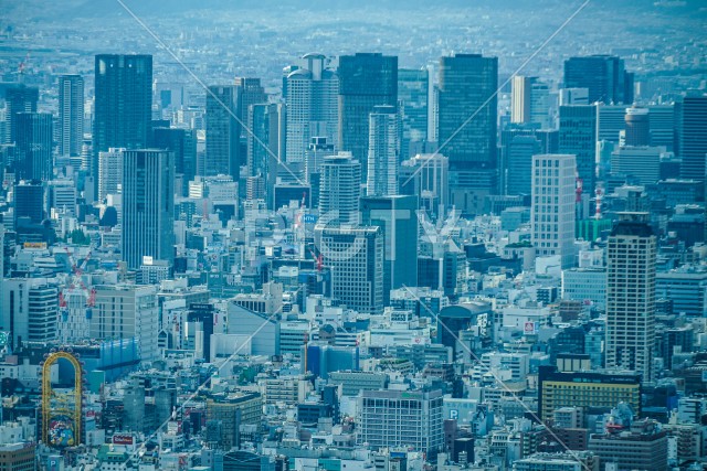 写真のタイトルが入ります