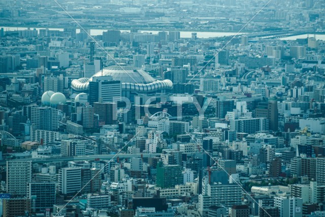 写真のタイトルが入ります