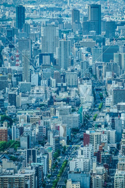 あべのハルカスからの大阪の街並み