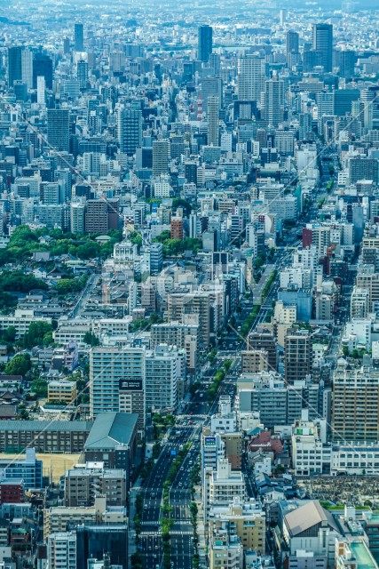 あべのハルカスからの大阪の街並み
