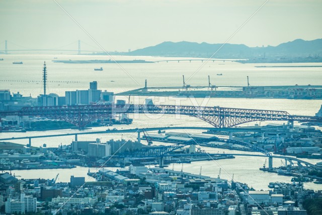 写真のタイトルが入ります