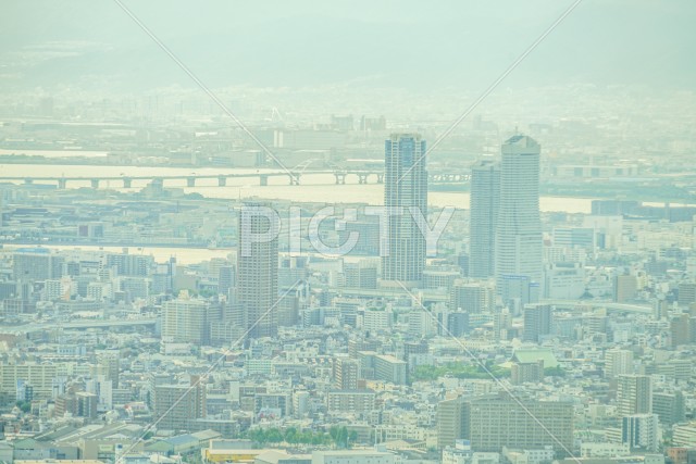 写真のタイトルが入ります