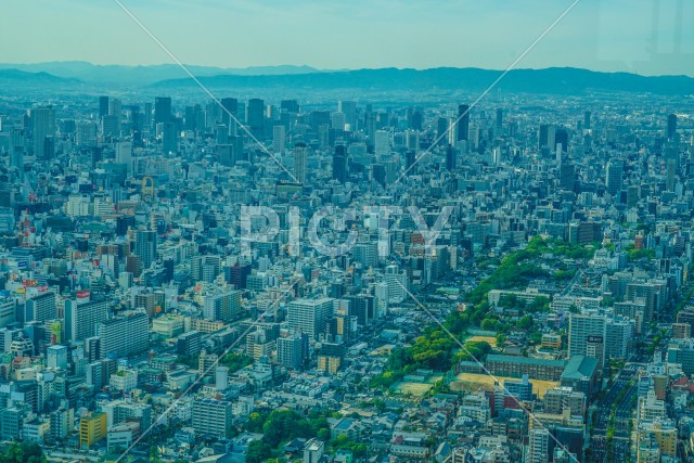 あべのハルカスからの大阪の街並み