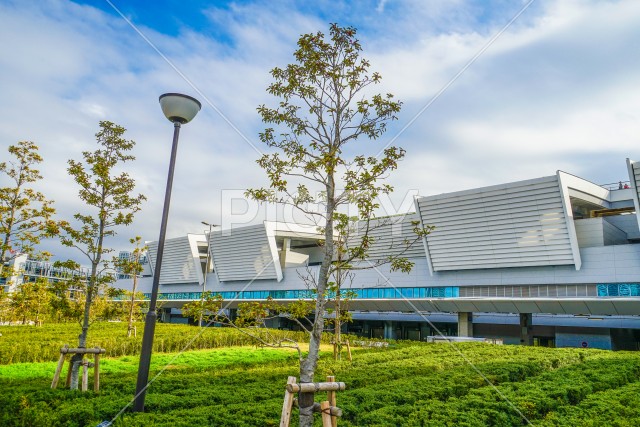 豊洲市場の建物のイメージ