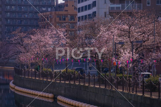写真のタイトルが入ります