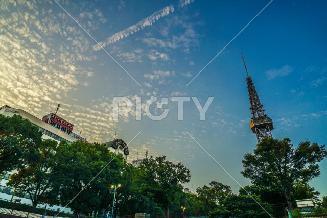 名古屋テレビ塔と夕景