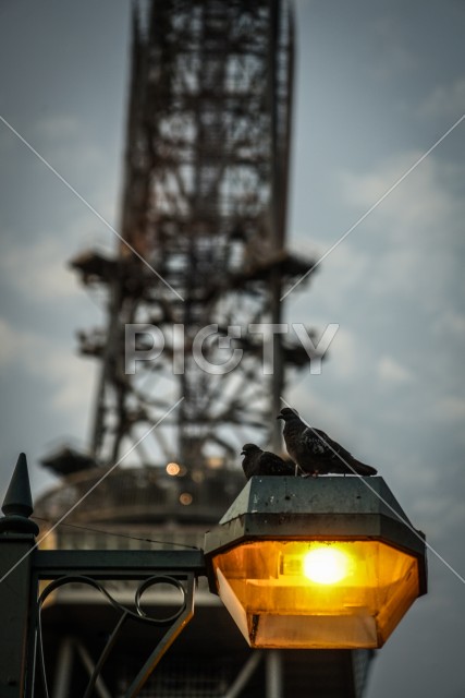 写真のタイトルが入ります