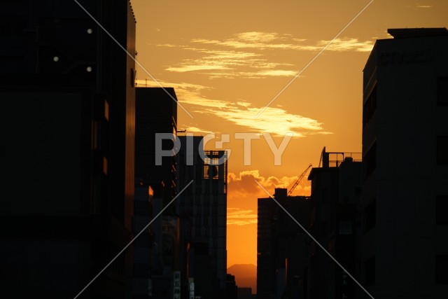 写真のタイトルが入ります