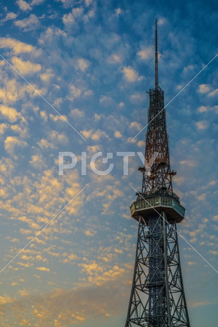 名古屋テレビ塔と夕景