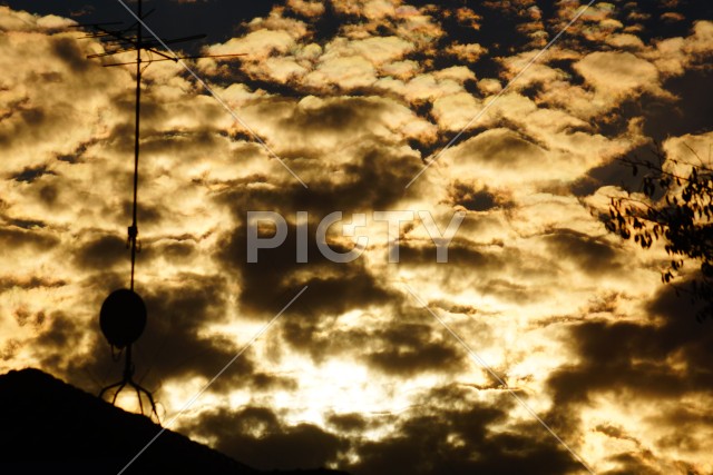写真のタイトルが入ります