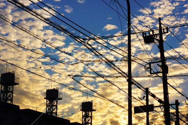 電線と夕焼け