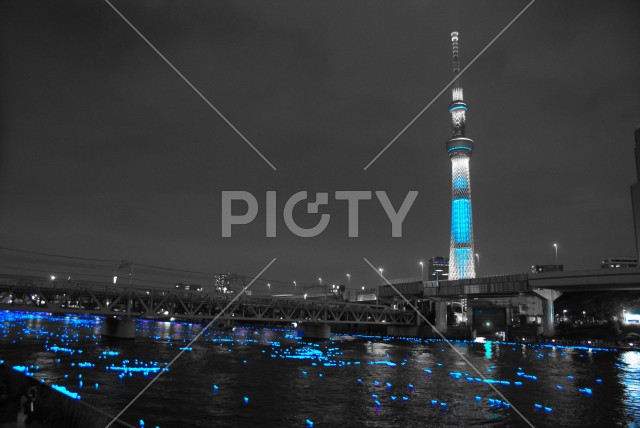 スカイツリーとイルミネーション（東京ホタル）単色