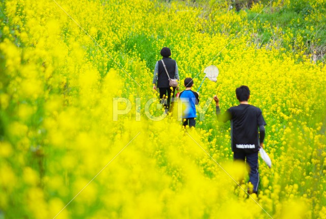 写真のタイトルが入ります