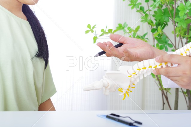 写真のタイトルが入ります